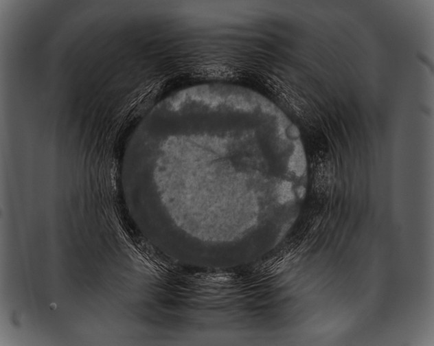 X0000097480643200803201510