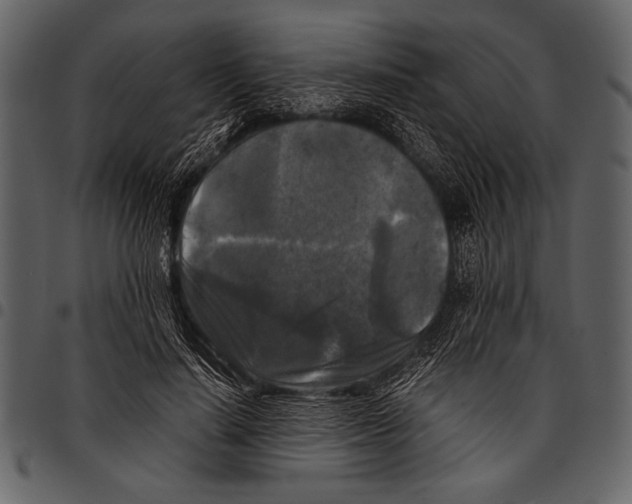 X0000097480644200803201510