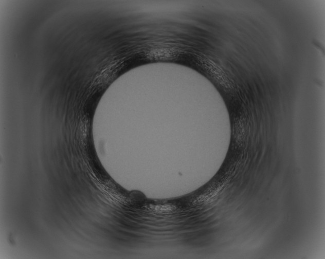 X0000097480645200803201510