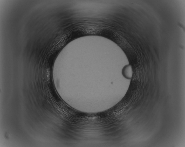 X0000097480646200803201510