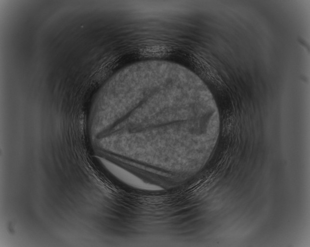 X0000097480647200803201510