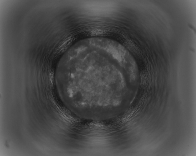 X0000097480648200803201510