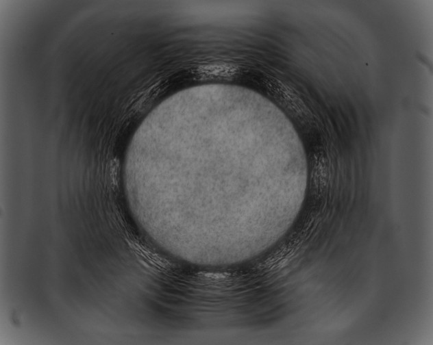 X0000097480649200803201510