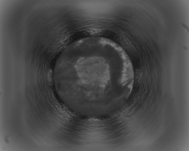 X0000097480650200803201510