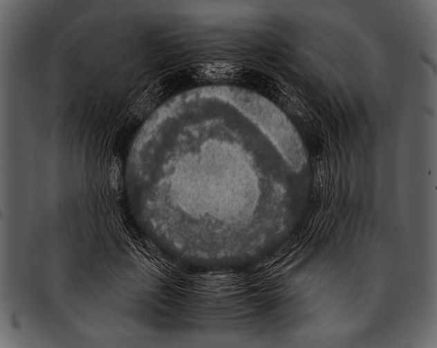 X0000097480651200803201510