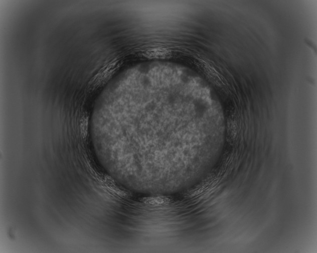 X0000097480652200803201510