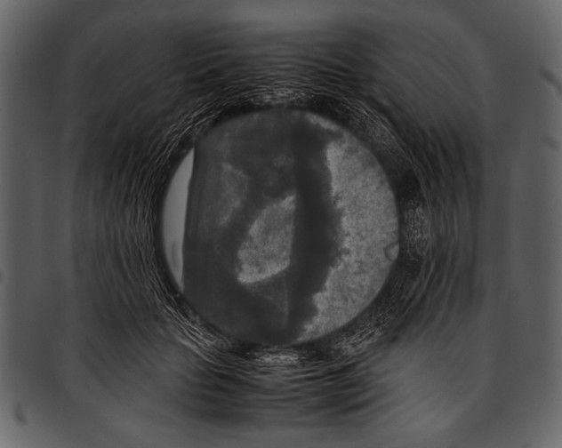 X0000097480653200803201510