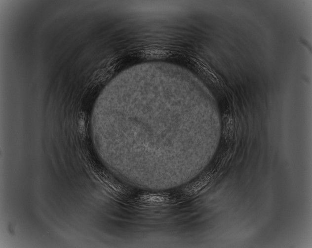 X0000097480655200803201510