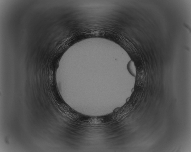 X0000097480656200803201510