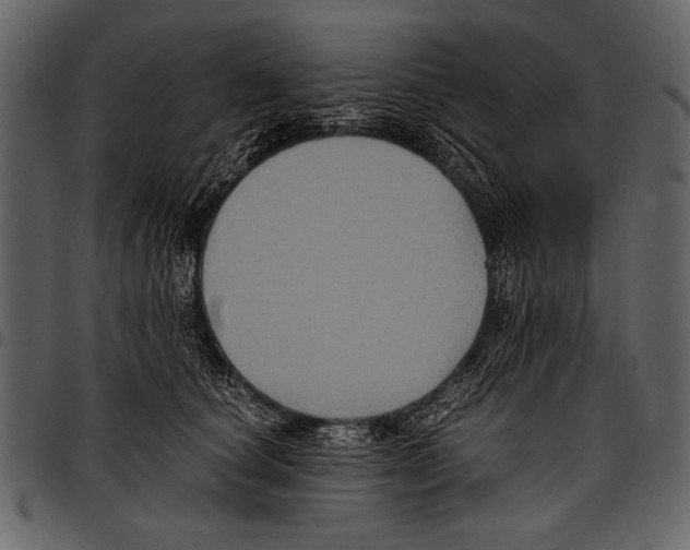 X0000097480660200803201510