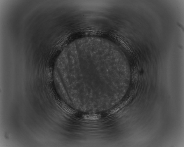 X0000097480661200803201510