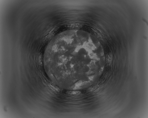 X0000097480663200803201510