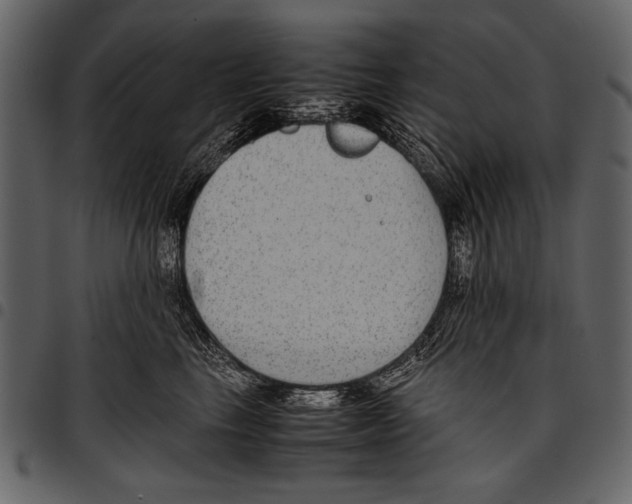 X0000097480665200803201510