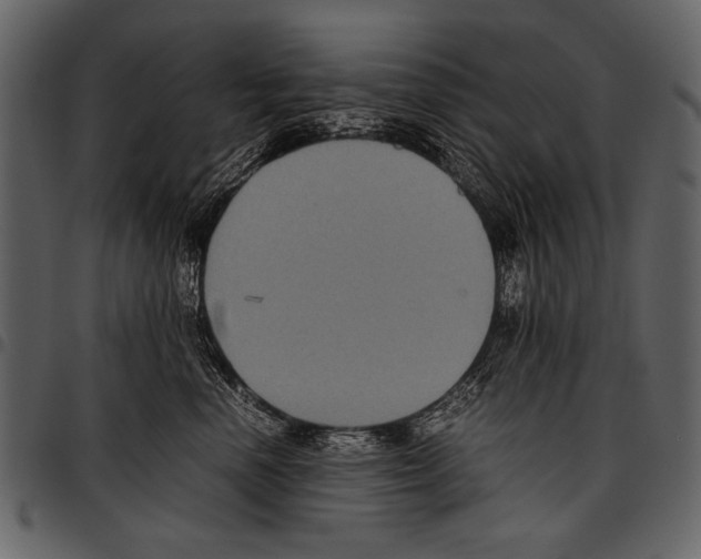 X0000097480666200803201510