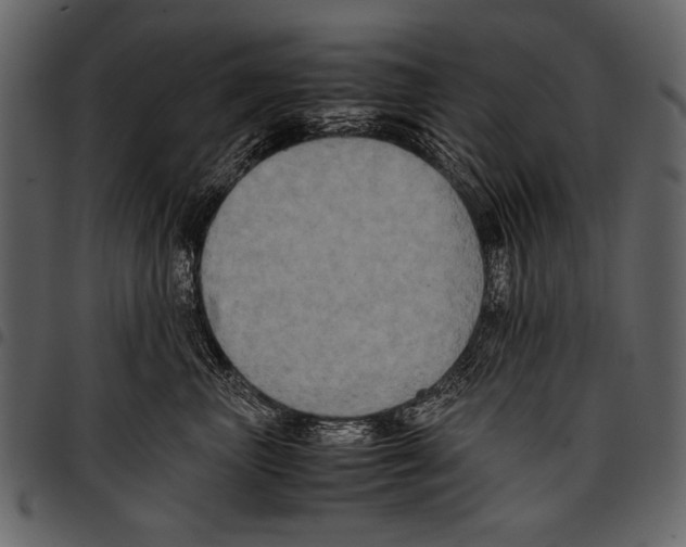 X0000097480667200803201510