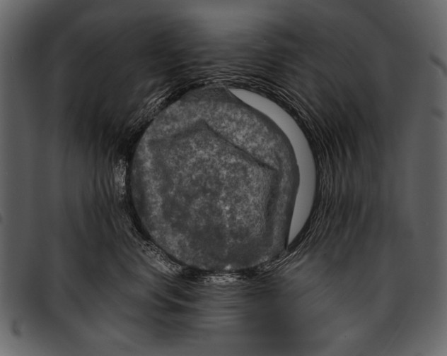 X0000097480668200803201510