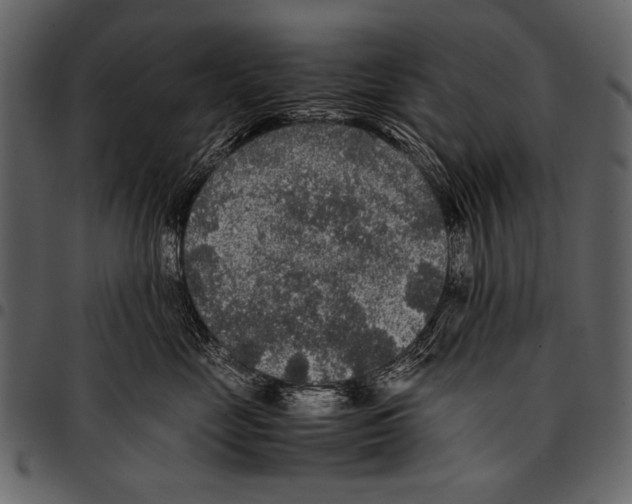 X0000097480669200803201510