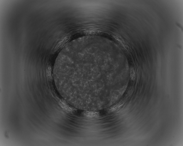 X0000097480670200803201510