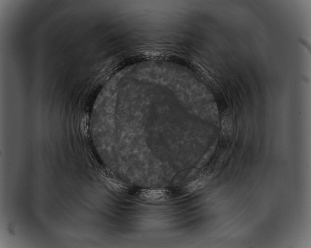 X0000097480671200803201510