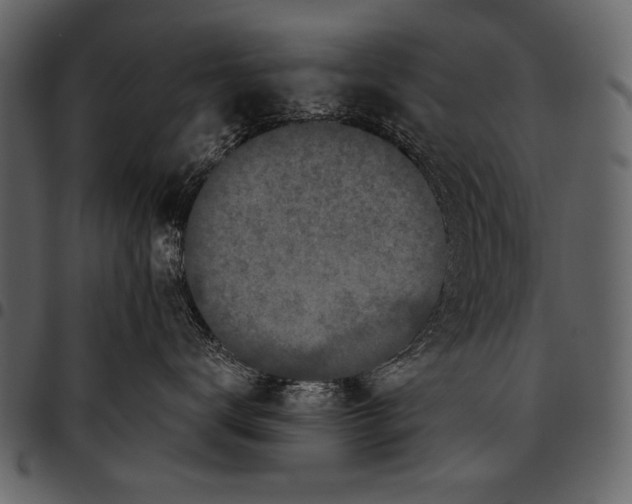 X0000097480672200803201510