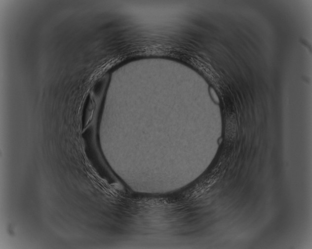 X0000097480673200803201510