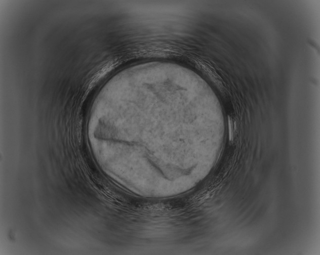 X0000097480675200803201510