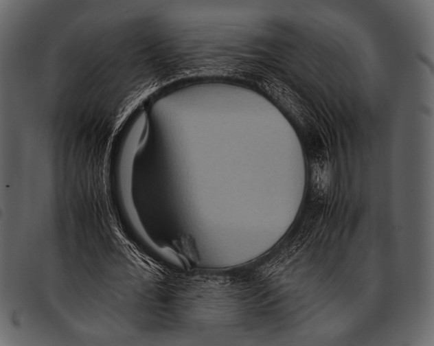 X0000097480676200803201510