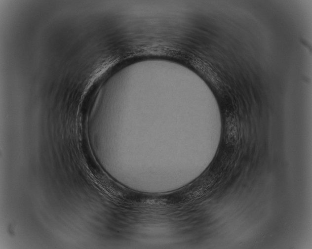 X0000097480680200803201510