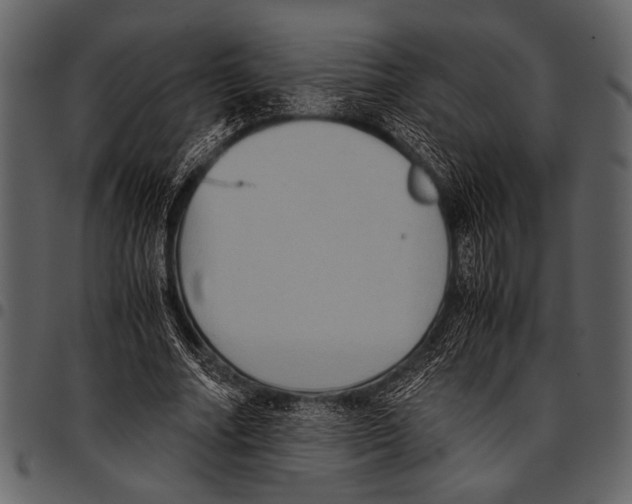 X0000097480682200803201510