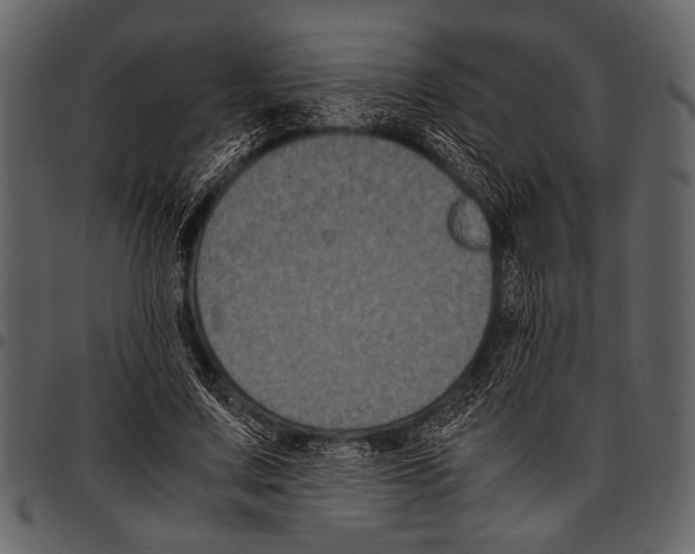 X0000097480683200803201510