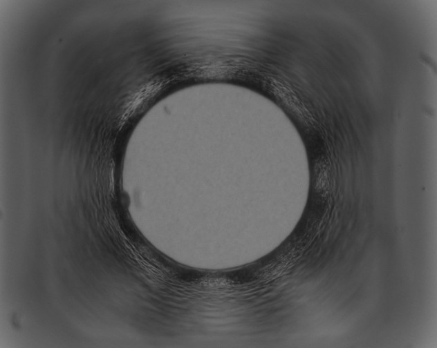 X0000097480685200803201510