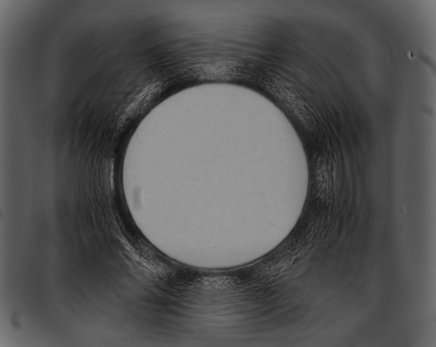 X0000097480686200803201510