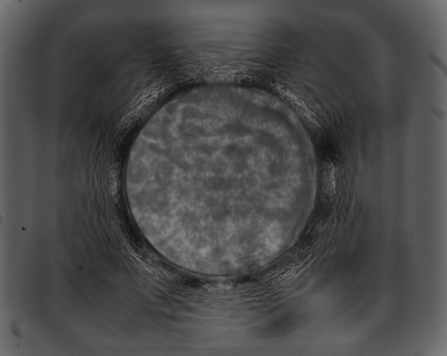 X0000097480687200803201510