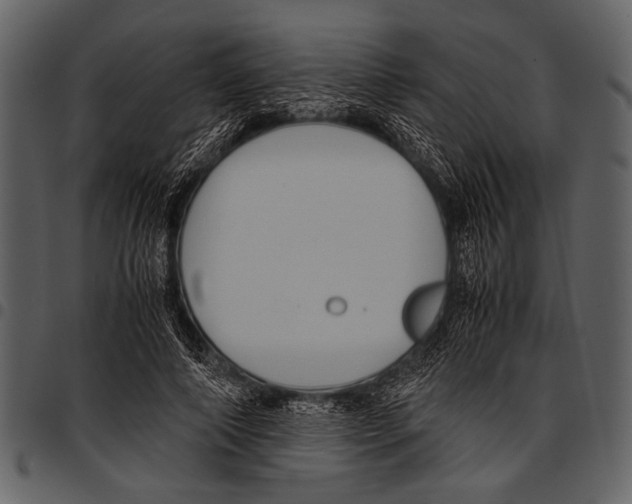 X0000097480690200803201510