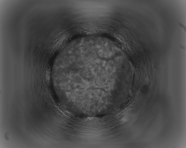 X0000097480691200803201509