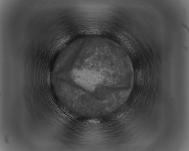 X0000097480692200803201509