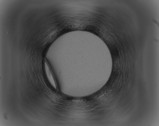 X0000097480693200803201509