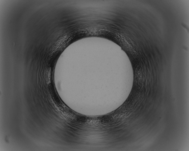 X0000097480694200803201509