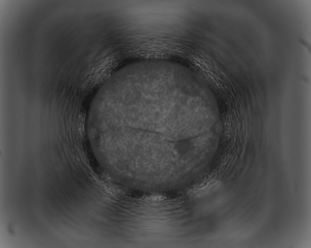 X0000097480695200803201509