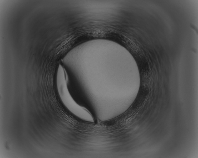 X0000097480697200803201509