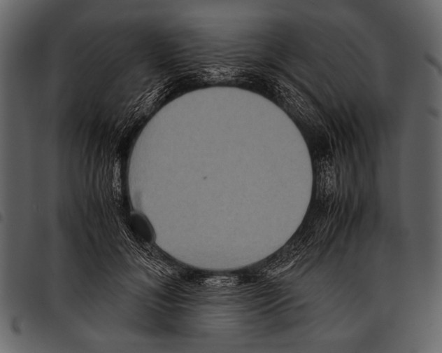 X0000097480700200803201509