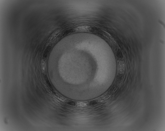 X0000097480701200803201509