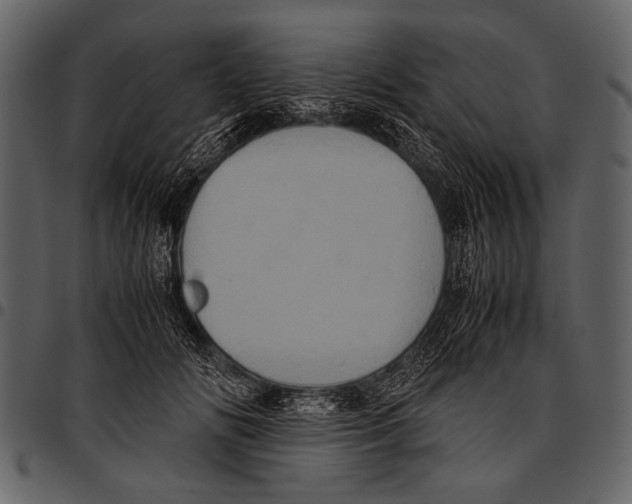 X0000097480702200803201509