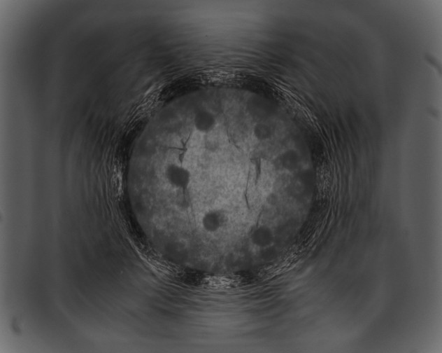 X0000097480703200803201509