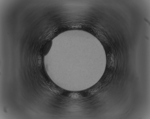 X0000097480704200803201509