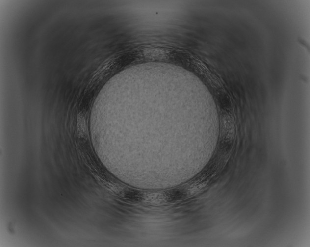 X0000097480705200803201509