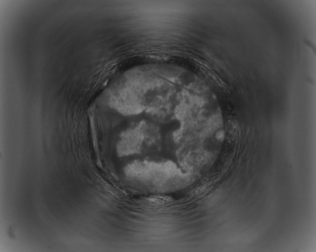 X0000097480707200803201509