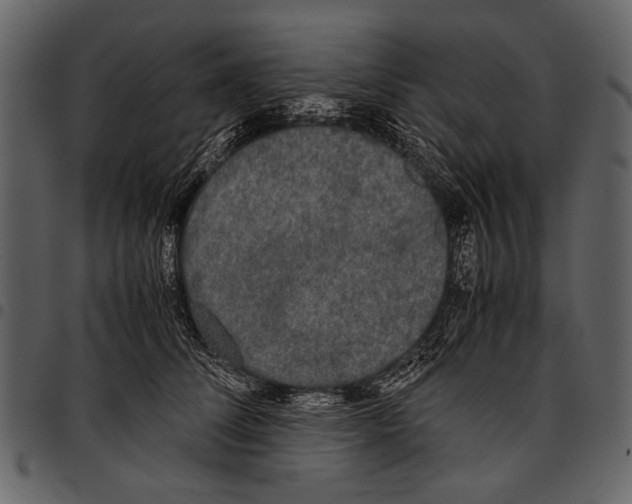 X0000097480708200803201509