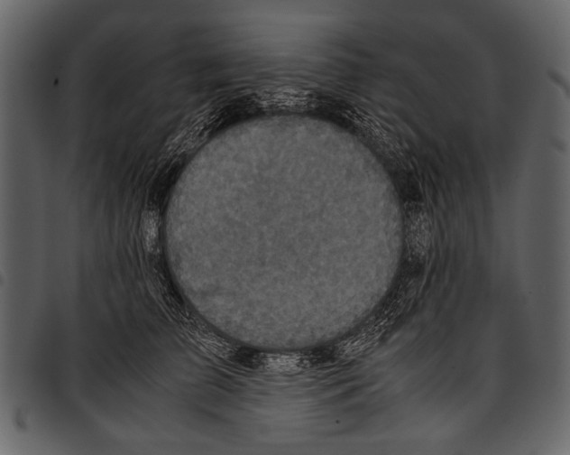 X0000097480709200803201509