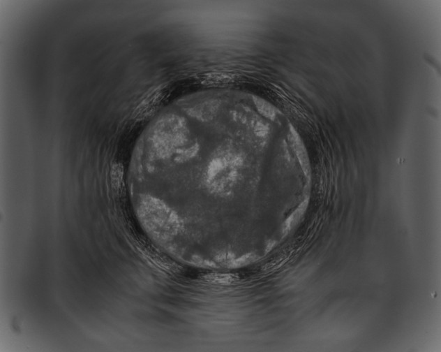 X0000097480711200803201509